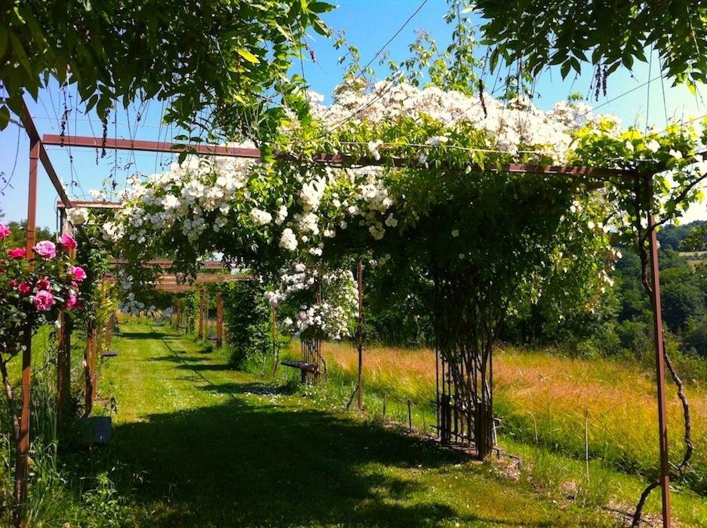 Boussac 马斯德尔绥旅馆住宿加早餐旅馆 外观 照片